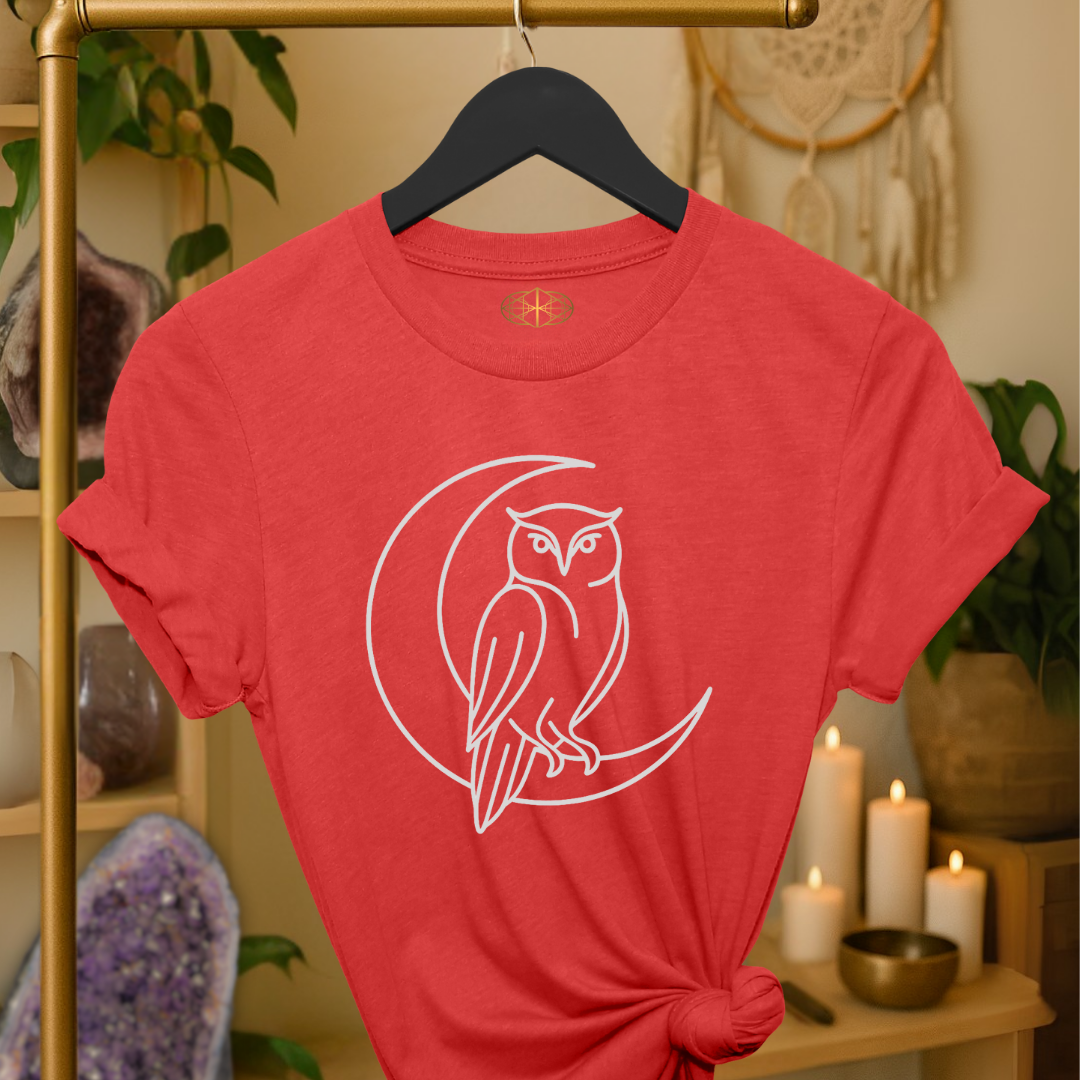 Owl Line Art